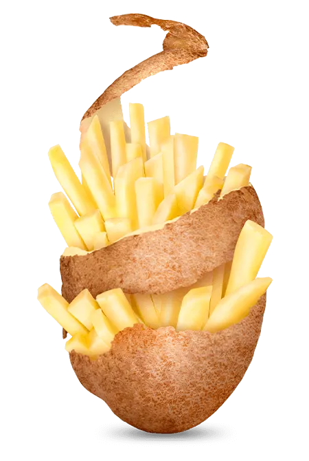 Potato-Fries