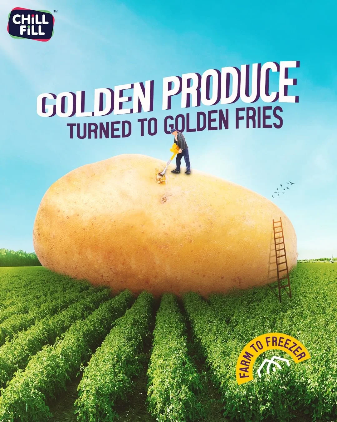 A Farm-to-Freezer Philosophy - Frozen Potato Snacks