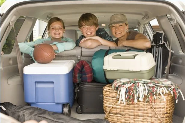 Why Frozen Potatoes Are Ideal for Picnics & Road Trips?